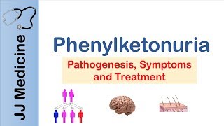 Phenylketonuria  Genetics Signs amp Symptoms Treatment [upl. by Selfridge409]