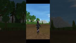 Tysm for the 20 subscribers sso horse starstableonlinehorses cool ssoclub [upl. by Aihsekel]