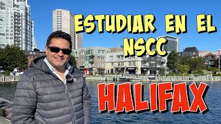 Mi Experiencia en Halifax 🍁🇨🇦 INMIGRAR a Canadá Por Estudios [upl. by Haines315]