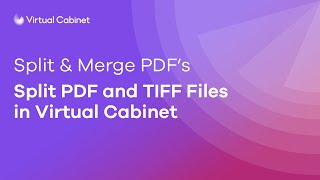 Split and merge PDFs  Virtual Cabinet [upl. by Zucker]