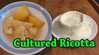 Cultured Ricotta  Fermented Cheese Experiment for Beginners [upl. by Yllak32]