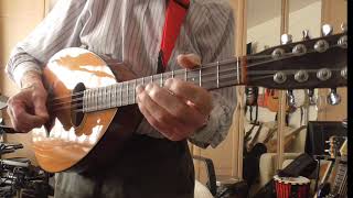 Mandola  Irish Jig  The Mist Covered Mountain  Slow Play Through [upl. by Magdalen]