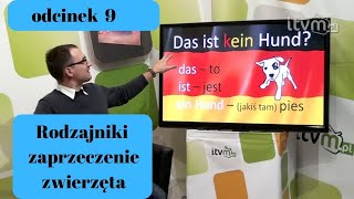 Niemiecki w parę minut 9  rodzajniki zaprzeczenie i zwierzęta [upl. by Nellac]