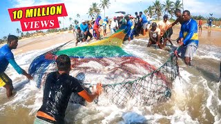 Unbelievable 2000Kg Queen fishes Caught In Seine Net  You Wont Believe How We Caught This [upl. by Norrahc]