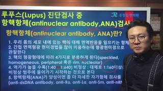 루푸스Lupus 진단검사 중 항핵항체antinuclear antibodyANA [upl. by Biddick]