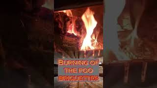 How to make Horse Poo fire briquettes freeheat multimate shorts [upl. by Courcy]