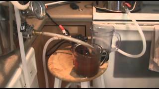 How To Brew A Schwarzbier [upl. by Alien]