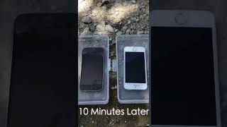 iPhone 5s vs Acetone [upl. by Hickie554]