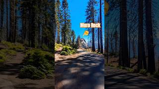 Dont miss this hike in Sequoia National Park  Moro Rock Hike [upl. by Inuat]