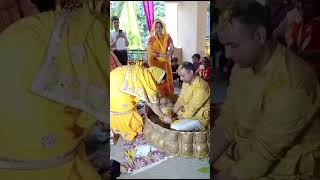 Haldi Celebration haldi songs  wedding celebration wedding Song [upl. by Mccallum]