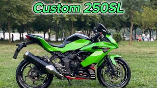 Ninja 250SL Modifiyeli  Bol Gazlamalı [upl. by Goodkin]