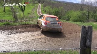 Rallye Terre des Causses 2017 HD [upl. by Ellehsat]