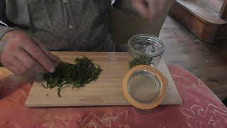 Comment faire un délicieux vinaigre à la salicorne  How to Make Delicious Glasswort Vinegar [upl. by Rannug117]