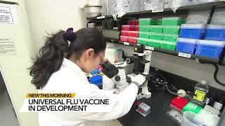 Researchers make important progress toward a possible universal flu vaccine [upl. by Acinnor733]