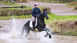 Impressionen der Trakehner Vielseitigkeitssichtung mit Andreas Dibowski in Süsel Nov 2017 [upl. by Lyj]