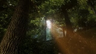 Oblivion 2017  The Great Forest  Modlist link is in the description [upl. by Oimetra697]