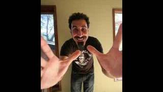 Serj Tankian  Tribute [upl. by Joline987]