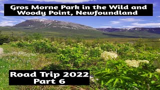 Under the Stump Adventure and Woody PointTablelands Gros Morne National Park Newfoundland 2022 [upl. by Geer]