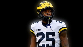 Hassan Haskins 2021 Michigan Wolverines Highlights ᴴᴰ [upl. by Notselrahc49]