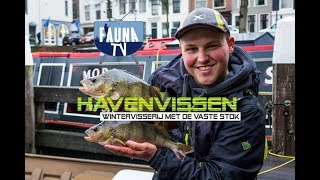 Fauna TV  Havenvissen [upl. by Llerrod761]