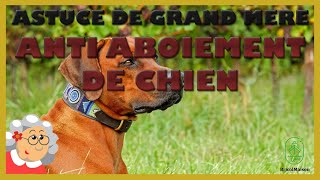 Astuce anti aboiement de chien [upl. by Adlecirg]