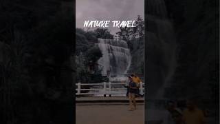 naturelovers tamilsong 🥰Dunsinane falls srilanka shorts shortvideo [upl. by Urata]