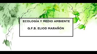 Ecología  Clase 4  Factores bióticos y abióticos red trófica [upl. by Hcurab]