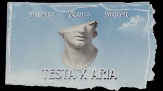 BLANCO Palomba Madame  TESTA X ARIA Visual Art AI Song [upl. by Adnaloj252]