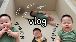 vlog 4개월 원더윅스😱 D135 배밀이 시작  잠투정 amp 잠퇴행  지옥주  온탕과 냉탕을 왔다갔다 하는 일상  육아 브이로그 [upl. by Hannavahs197]