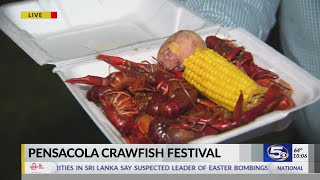 VIDEO Pensacola Crawfish Festival opening day [upl. by Nozicka]