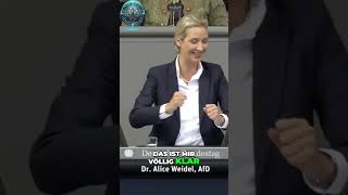 Alice Weidel Warum STEUERN unsere FINANZFREIHEIT bedrohen [upl. by Gruchot]