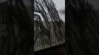 ASMR drawing tokito demonslayer drawing [upl. by Rimola]