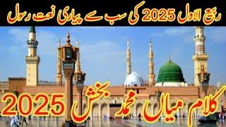 New Kalam 2024  Kalam Mian Muhammad Bakhsh 2024  Qari M Younas  New Naat  iloveislamofficial [upl. by Hertha92]