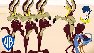 Looney Tunes  How Many Coyotes Does It Take to Catch a Road Runner  wbkids​ [upl. by Ahsenar]