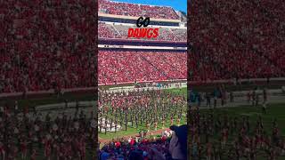 Bulldogs entrancesportsfootballdawgnation [upl. by Mehitable627]