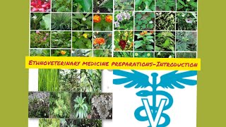 ETHNOVETERINARY MEDICINE PREPARATIONS INTRODUCTION [upl. by Gabe938]