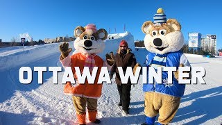 Things to do in Ottawas Winterlude  Ottawa Travel Guide  The Planet D Travel Vlog [upl. by Airetnahs]