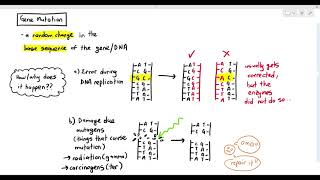 69 Gene Mutation Cambridge AS amp A Level Biology 9700 [upl. by Aryek]