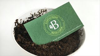 Seed Paper Business Cards [upl. by Rog]