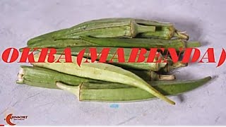 HOW TO COOK OKRA \ MABENDA bamia recipe  Jinsi ya kupika Mrenda wa mbegu [upl. by Attenor]