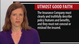 3 Legal Concepts of the Insurance Contract [upl. by Matronna]