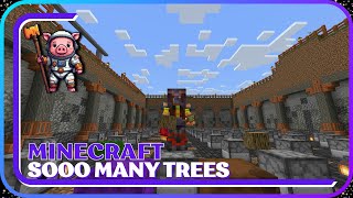 Cutting down Trees  LoFi Minecraft Bedrock 121  For Study amp Sleep No Commentary [upl. by Jordain]