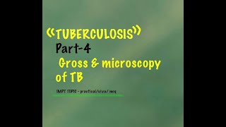 TUBERCULOSIS PART 4 Morphology of TB Robbins vvimpt theoryviva practical MCQ [upl. by Cynarra]