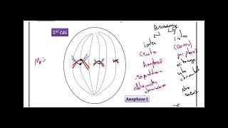 cours brassage de information genetique3 ème sciences [upl. by Asalocin57]