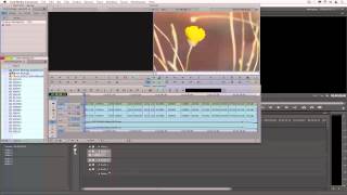 Importing an Avid Project in Adobe Premiere Pro [upl. by Suravaj224]