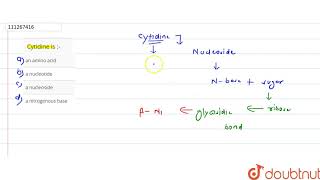 Cytidine is [upl. by Luciana]