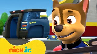 PAW Patrol Lookout Tower Rescues amp Adventures w Chase  Season 2  Nick Jr [upl. by Mairb]