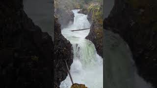 Little Qualicum Falls Vancouver Island BC Oct 29 2024 [upl. by Yarised]