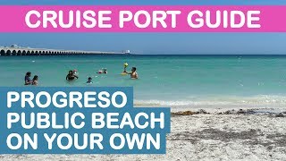 Progreso Yucatán Cruise Port Guide Public Beach On Your Own [upl. by Dibri]