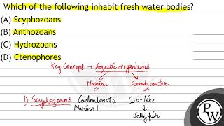 Which of the following inhabit fresh water bodies A Scyphozoans B Anthozoans C Hydrozoans [upl. by Allin]